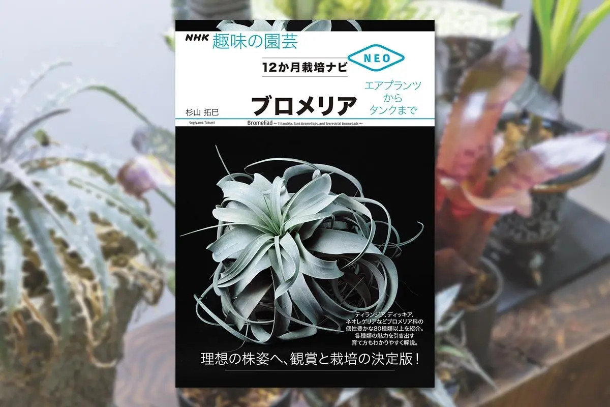 個性あふれるブロメリアの魅力 杉山拓巳さんに聞く栽培と観賞の楽しみ