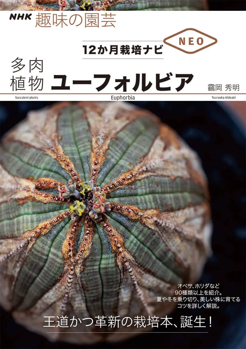 NHK趣味の園芸 12か月栽培ナビNEO 多肉植物 ユーフォルビア』オベサ
