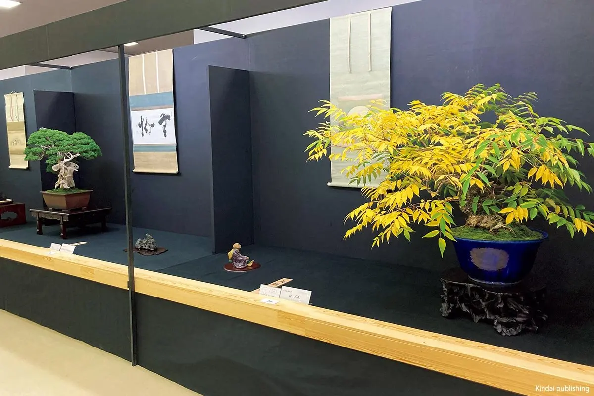 盆栽を楽しむ人が全国から集う祭典「第45回日本盆栽大観展」京都