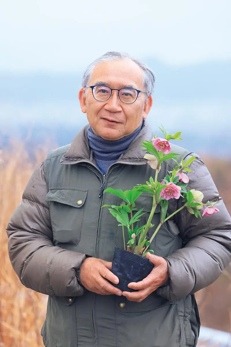 野々口 稔さんのクリスマスローズ関連イベント【2026年2月～3月開催