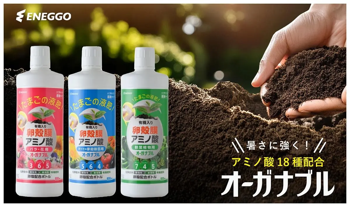 オールインワン液肥で暑さに負けない元気な植物を育てよう！「たまごの 