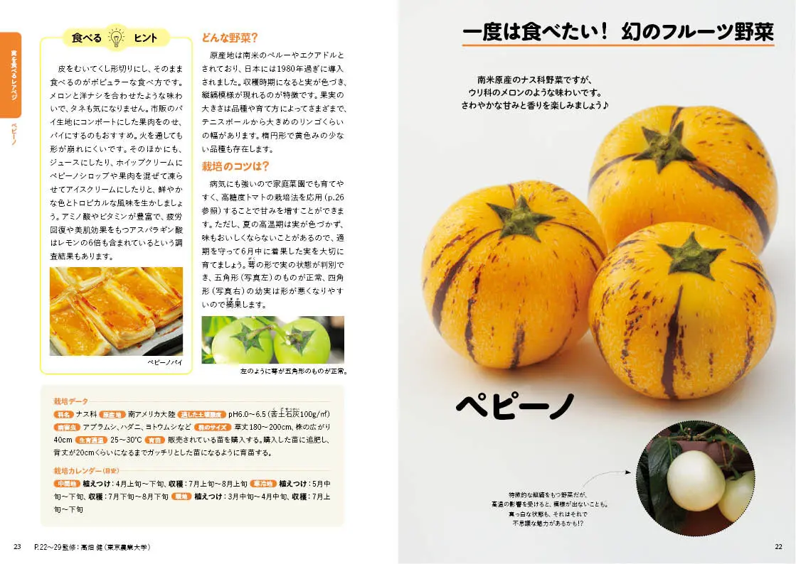 黒ウコン　種芋　250g 超希少　貴重　珍しい野菜　野菜の種　家庭菜園　希少野菜 種いも 黒ウコン 250g / うこん くろうこん 黒うこん クロウコン 黒