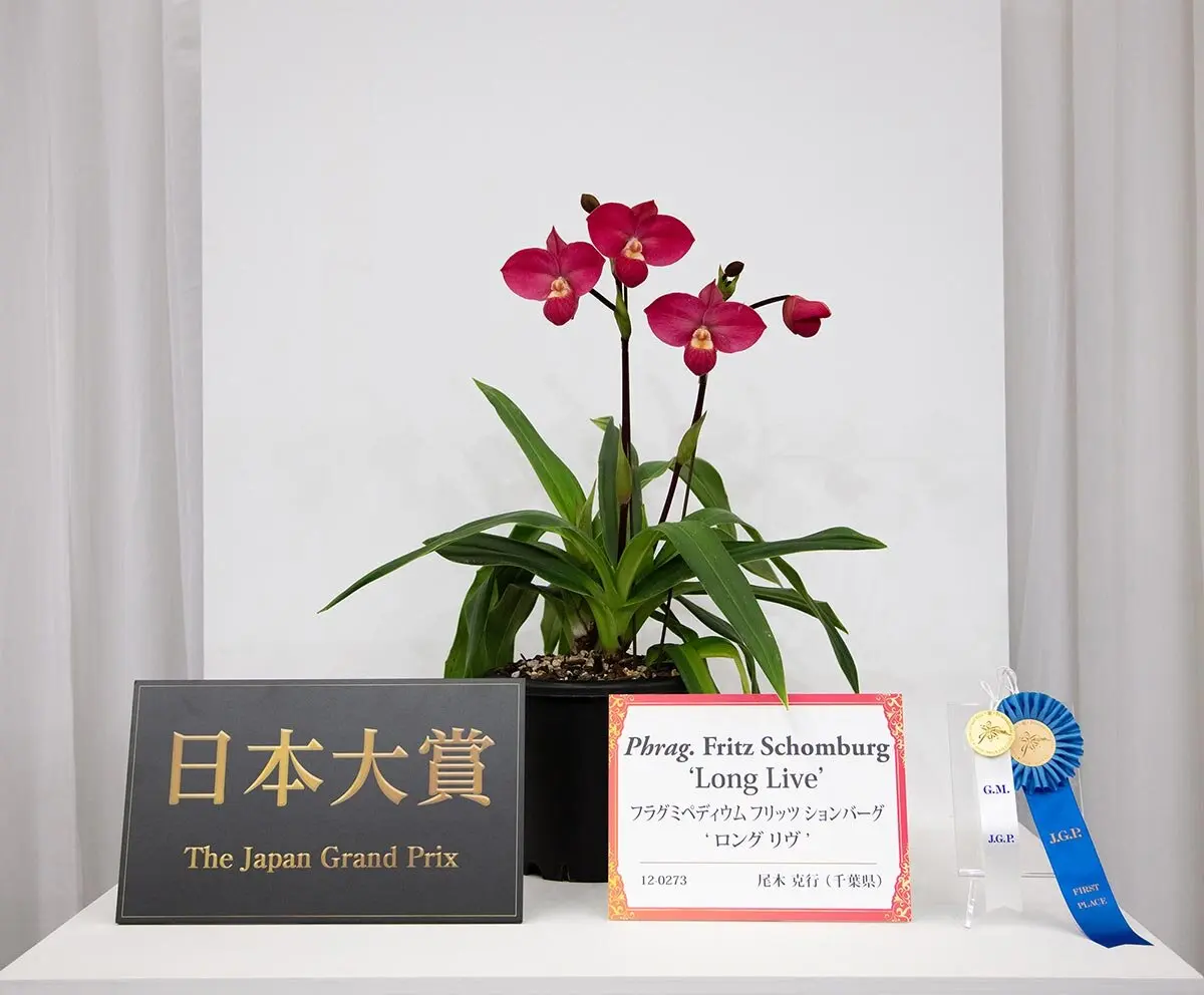 世界らん展2026-花と緑の祭典-」が開幕！日本大賞に、尾木克行さんの