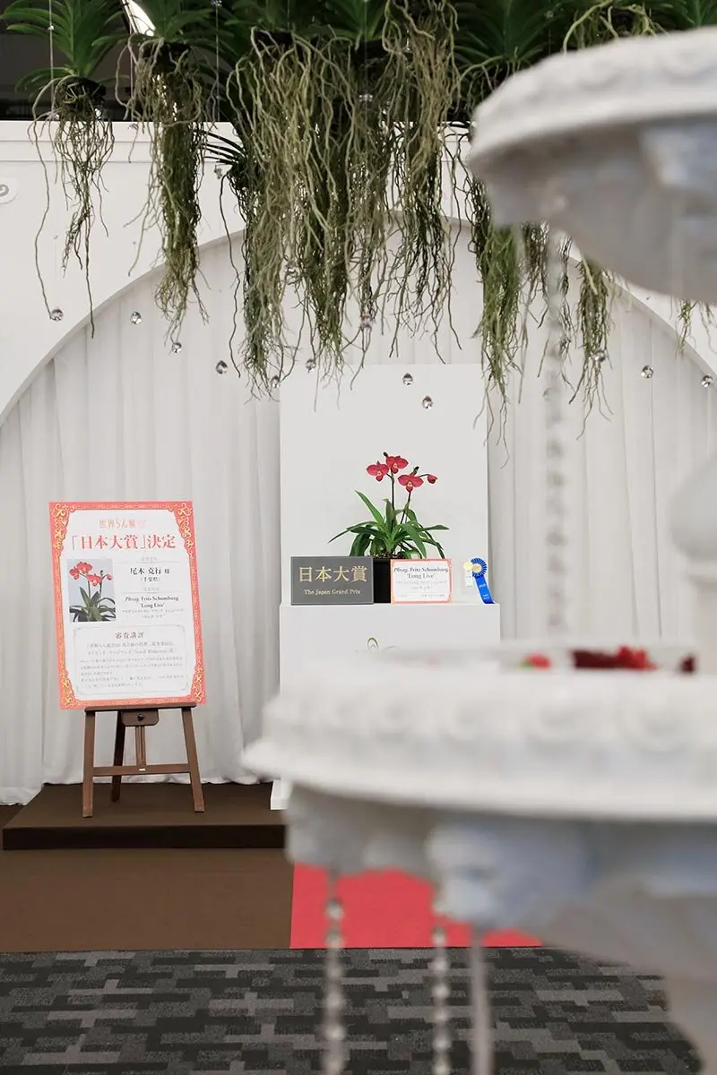 世界らん展2026-花と緑の祭典-」が開幕！日本大賞に、尾木克行さんの