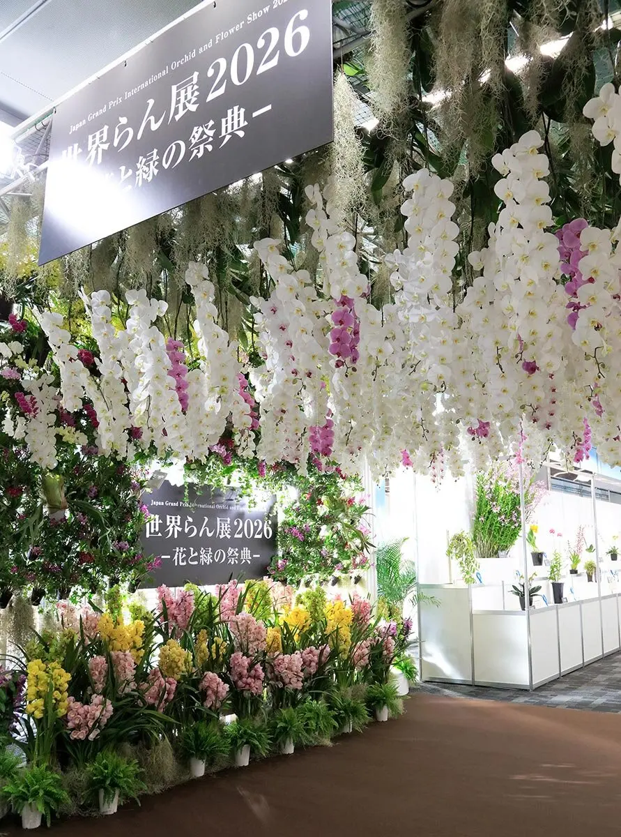世界らん展2026-花と緑の祭典-」が開幕！日本大賞に、尾木克行さんの