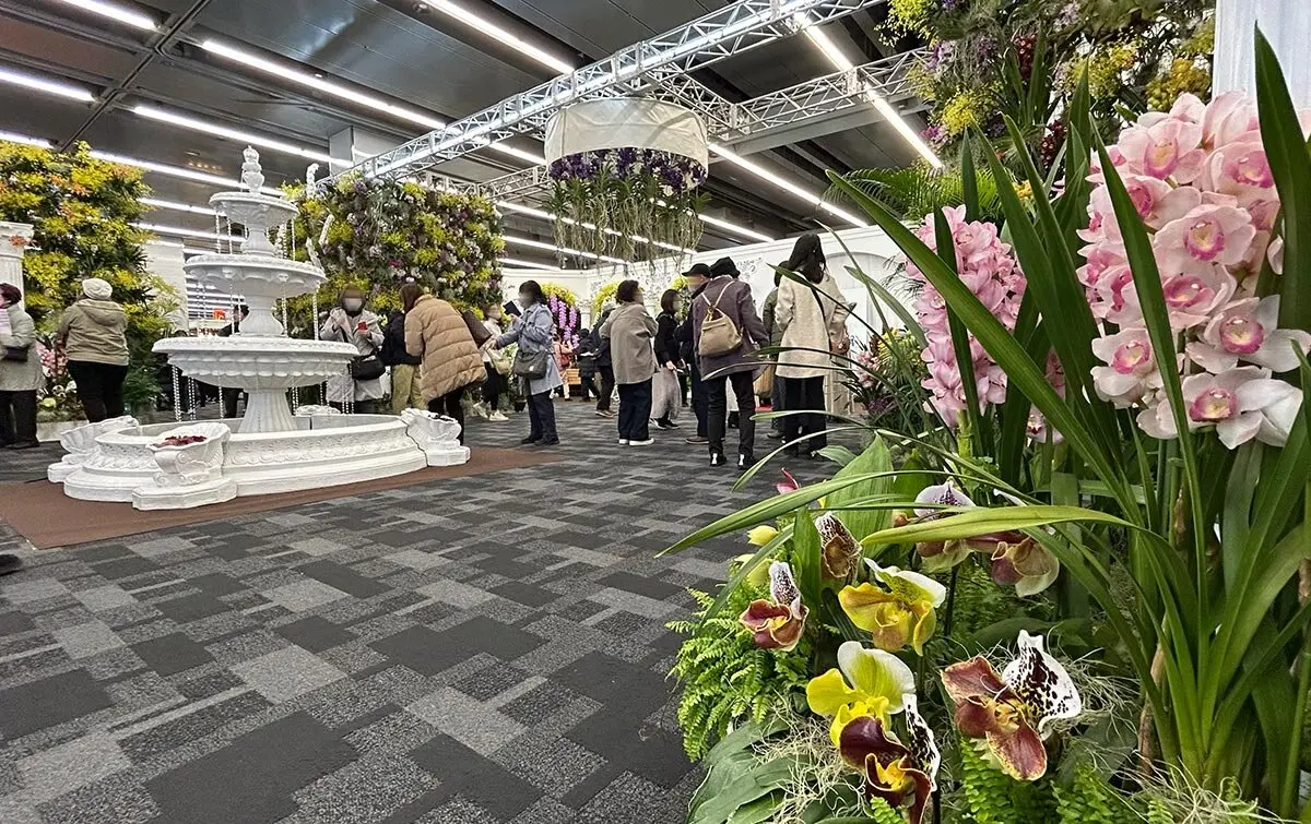 画像一覧》「世界らん展2026-花と緑の祭典-」が開幕！日本大賞に、尾木