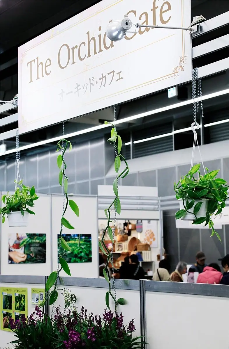 画像一覧》咲き誇るランの祭典へ「世界らん展2026-花と緑の祭典-」会場