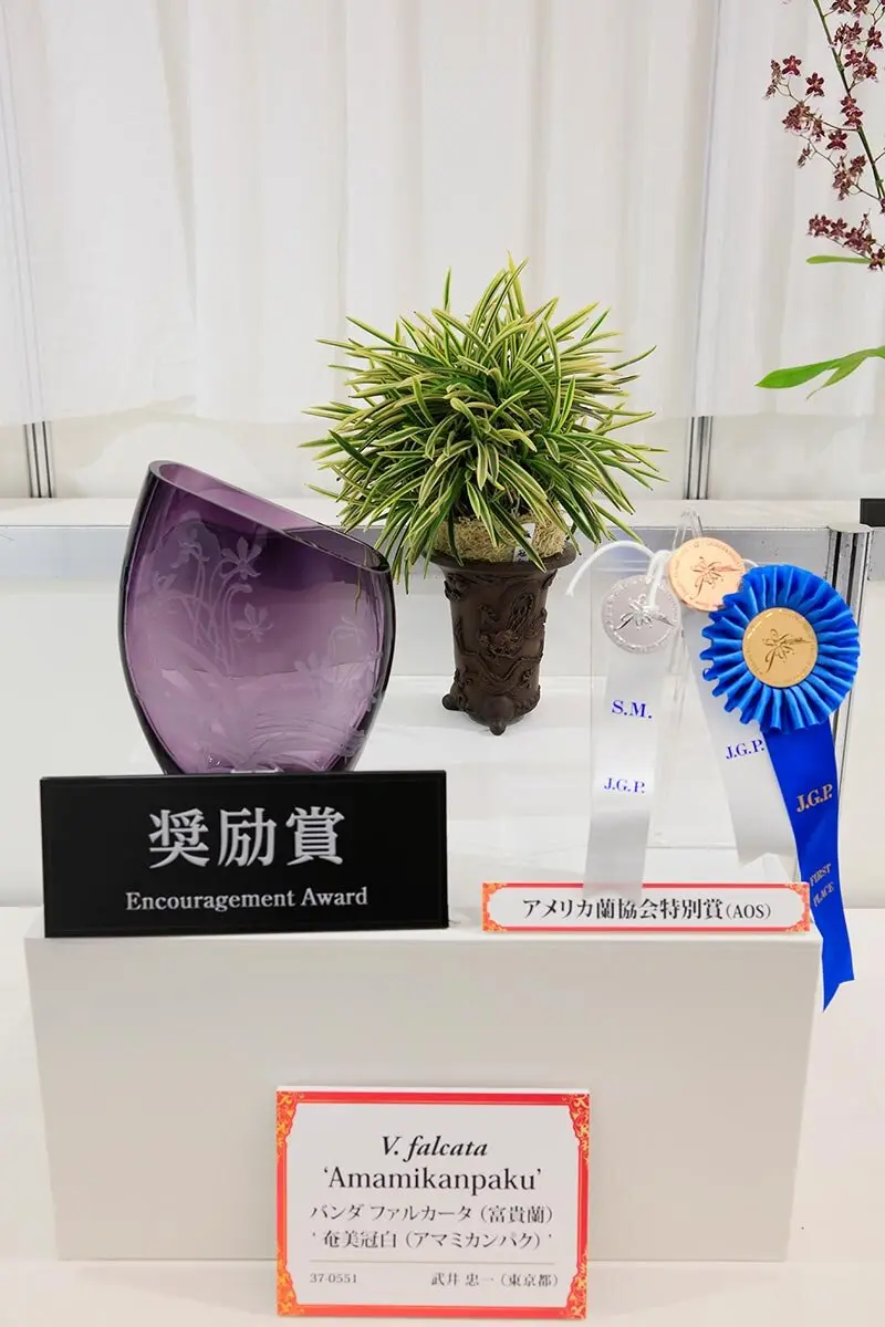 咲き誇るランの祭典へ「世界らん展2026-花と緑の祭典-」会場レポート