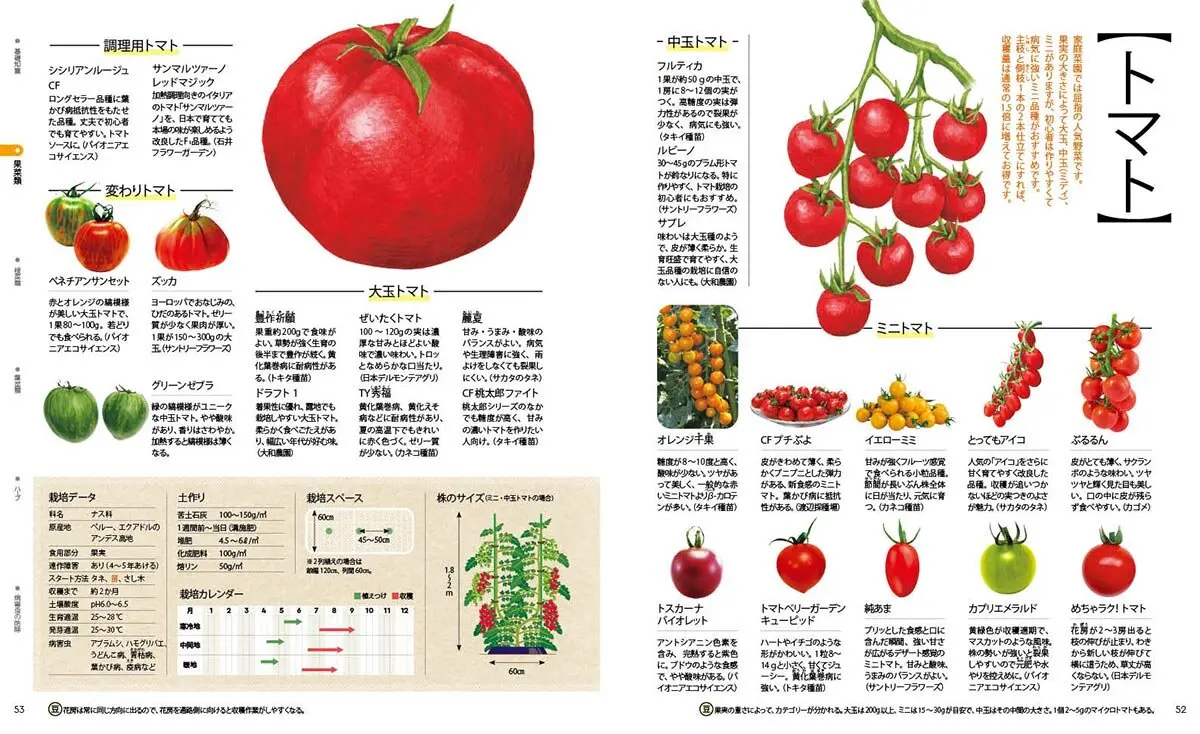 藤田智の 新・野菜づくり大全』200種の野菜を掲載！プランニングから