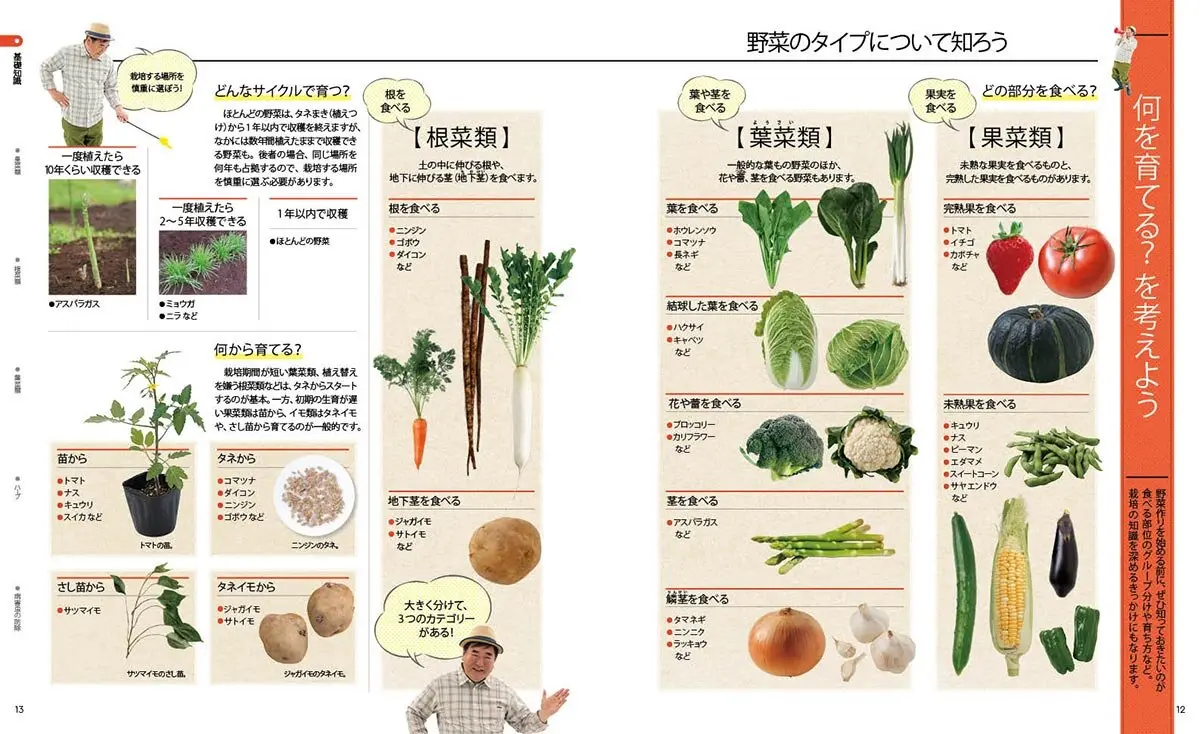 藤田智の 新・野菜づくり大全』200種の野菜を掲載！プランニングから