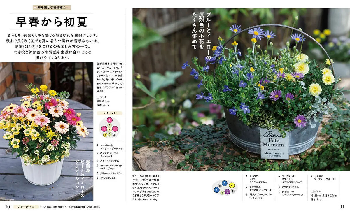 NHK趣味の園芸 3つの基本パターンではじめる 素敵な寄せ植えのつくり方