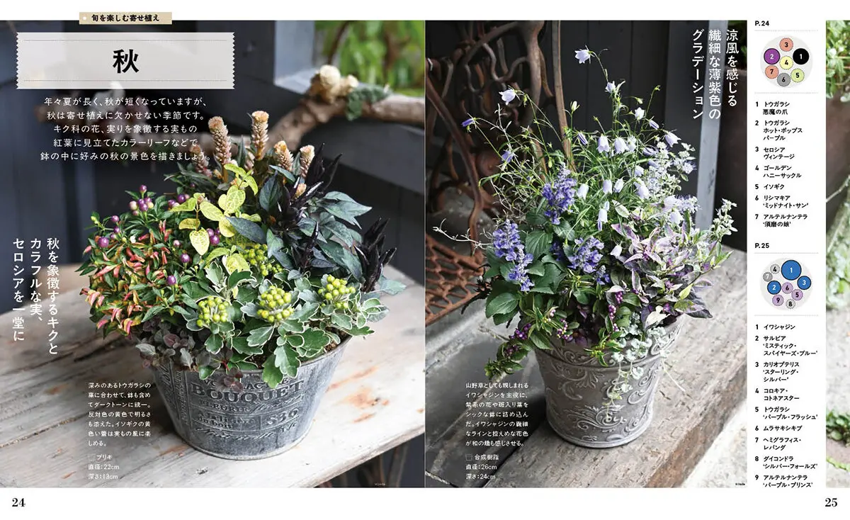 NHK趣味の園芸 3つの基本パターンではじめる 素敵な寄せ植えのつくり方