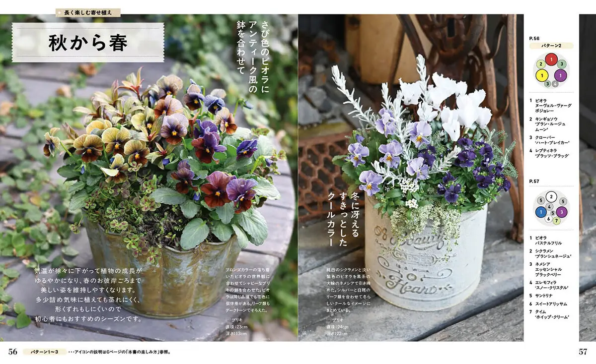 NHK趣味の園芸 3つの基本パターンではじめる 素敵な寄せ植えのつくり方