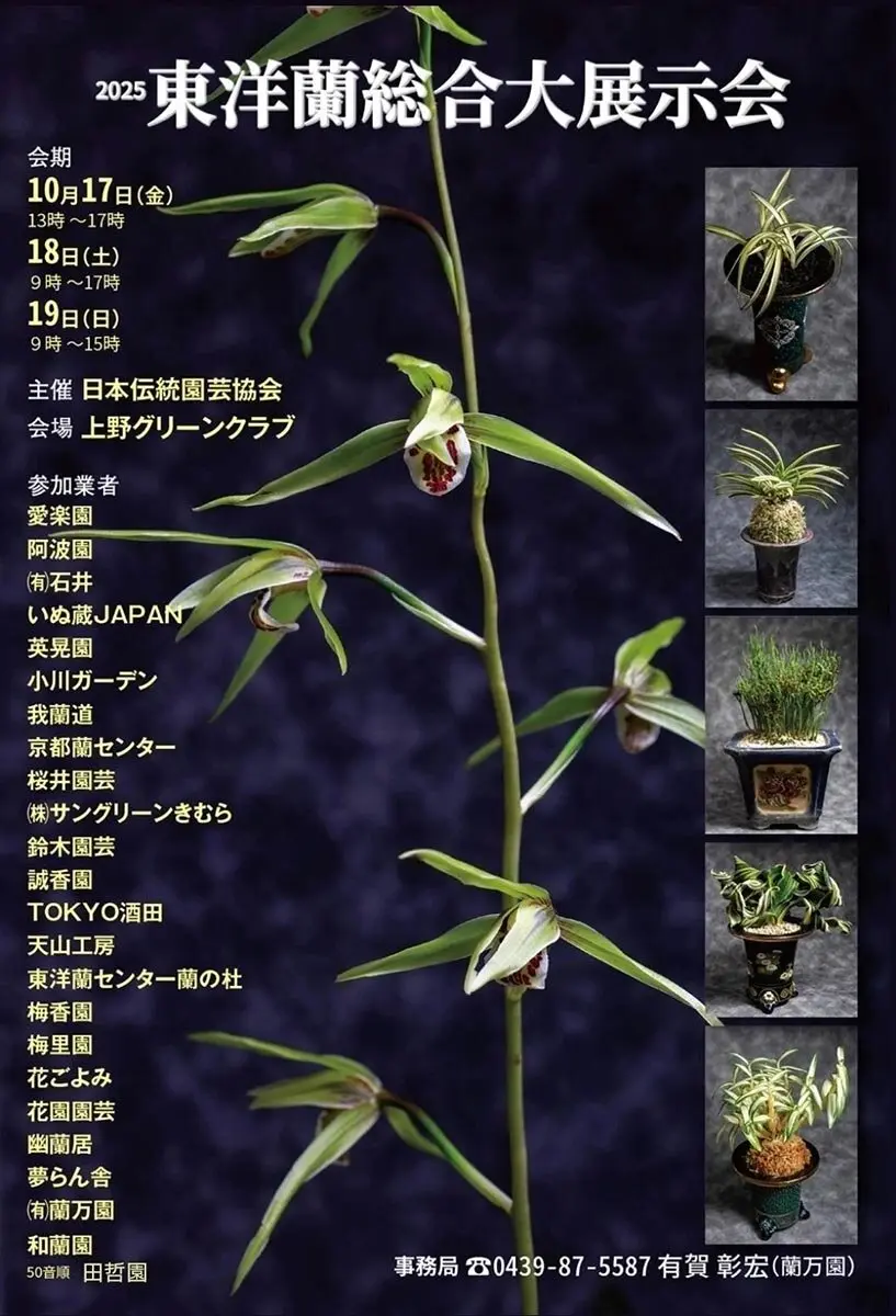 伝統園芸植物の展示・即売会「2025 東洋蘭総合大展示会」が10月17日