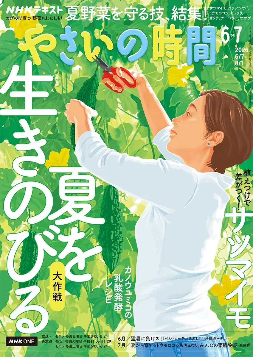 やさいの時間』2026年6・7月号の紹介～猛暑サバイバル！野菜もわたしも